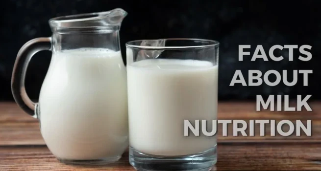 Milk Nutrition